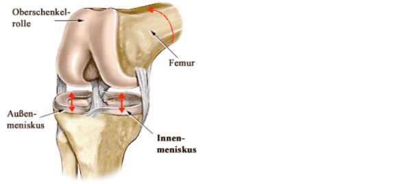 Tell-Klinik :: Arthroskopische Knieoperationen (Meniskusnaht ...